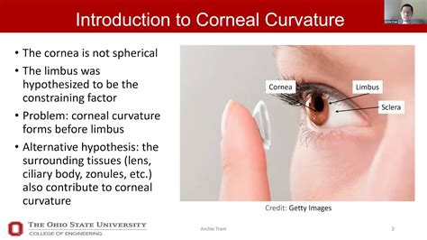 Corneal Curvature Youtube