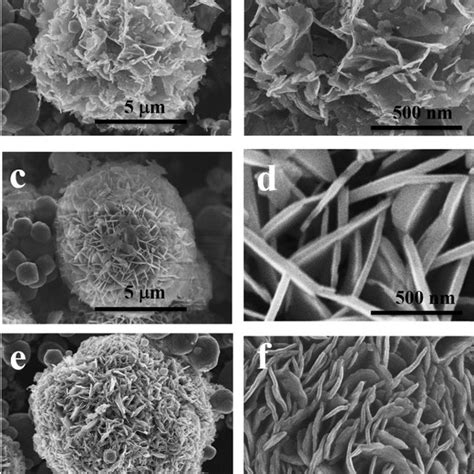 A And B Low And High Magnification FESEM Images Of Initial Formation