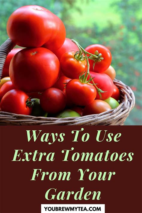 Ways To Use Extra Tomatoes From Your Garden In 2021 Tomato Good