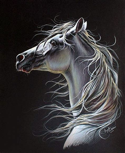 40 Realistic Animal Pencil Drawings | Pencil drawings of animals, Horse ...