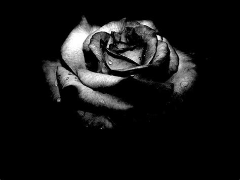 Black and White Broken Heart Wallpapers - Top Free Black and White Broken Heart Backgrounds ...