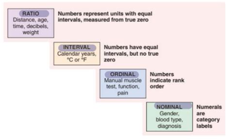 Measurement Exam Cumulative Final Flashcards Quizlet