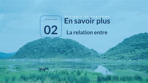 Meilleurs Mod Les Powerpoint De La Relation Entre Les Organismes Et L