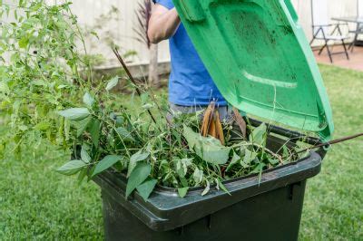 Overgrown Yard Clean Ups Serving Flagstaff