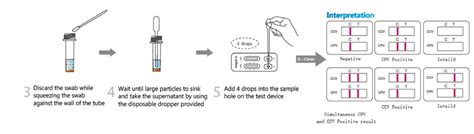 Cpvccv Ag Test Kit Manufacturer Monggo