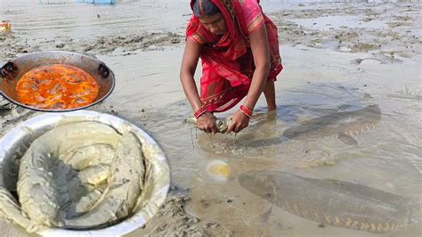 Chhoti Fishing Style In Mud Pondi Catching Snake Murral Head Fish