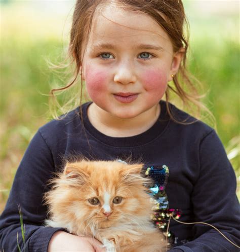 10 best cat breeds for kids- The Long Whiskers