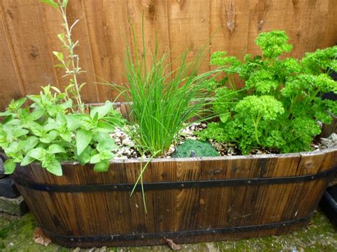 Learn About Herb Gardening Get The Natural Facts