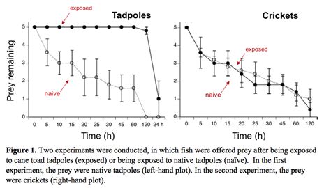 Solved Schooling fish Predators might learn to avoid can | Chegg.com