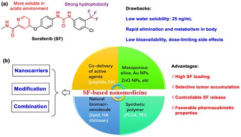 Polymers Free Full Text Sorafenib Based Drug Delivery Systems