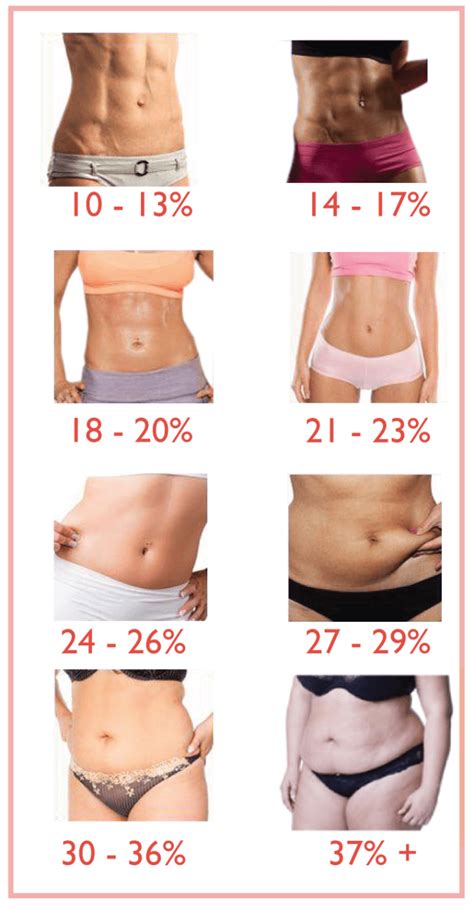 Body fat percentage chart – Artofit