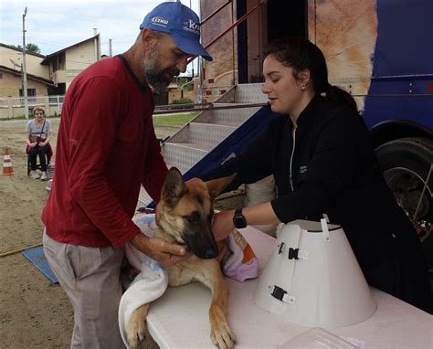 Balne Rio Pi Arras Passa A Castrar Animais Ao Longo De Todo O M S