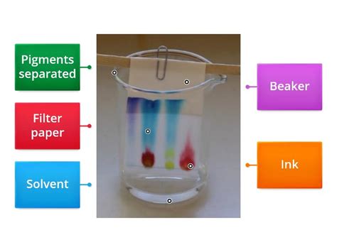 Chromatography Labelled Diagram