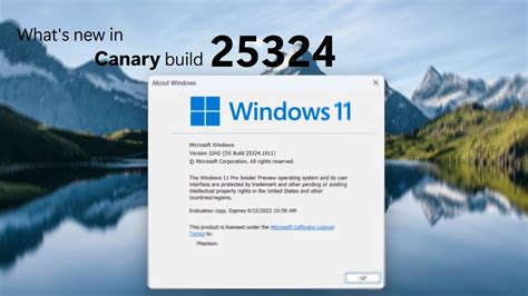 Windows Canary Build And What S New Widgets Motion And