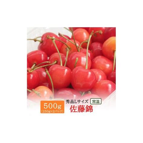 ふるさと納税 秋田県 湯沢市 さくらんぼ 佐藤錦 500g 250g×2 湯沢市 三関産 B14901 6182112ふるさと