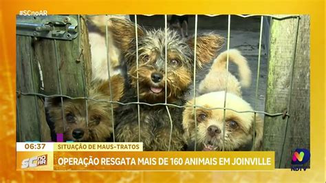 Operação resgata mais de 160 animais em Joinville