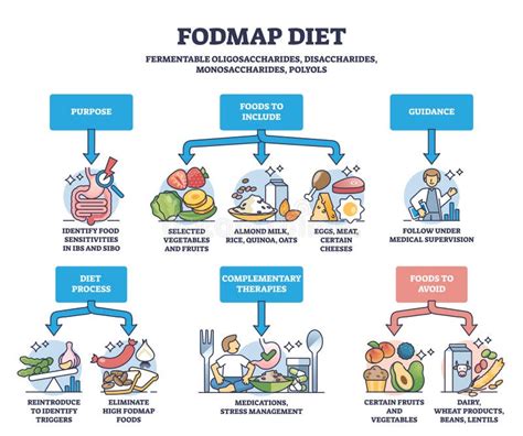 Fodmap Diet As Recommendations For Irritable Bowel Syndrome Outline Diagram Stock Illustration