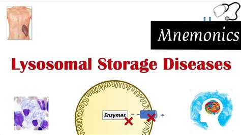 Lysosomal Storage Diseases Mnemonics Easy Way To Memorize All