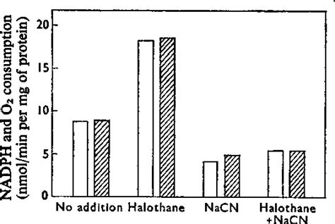 Figure 1 From The Effects Of Halothane On Hepatic Microsomal Electron