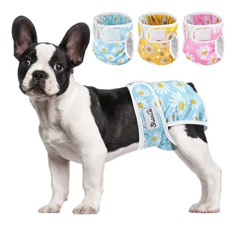 Set Pa Ales Lavables Y Reutilizables Para Perros Hembra Cuotas Sin