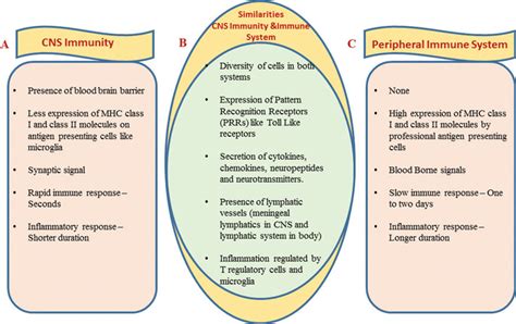 Figure Similarities And Dissimilarities Of Neuro Immune And