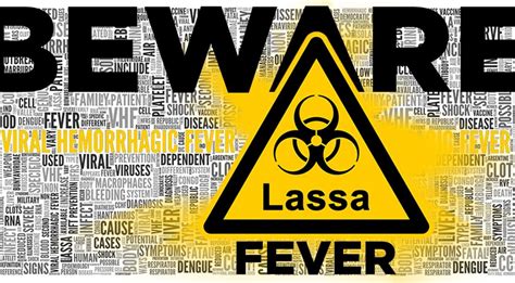 Key Things To Know About Lassa Fever Nas Medical Mission Nmm