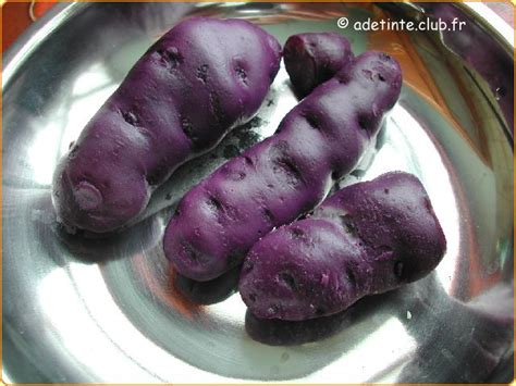 Salade Rouge Violette La Vitelotte Une Recette De Cuisine Propos E