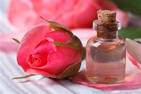 Diy Rosewater Toner How To Make Rose Toner For Natural Skin Care