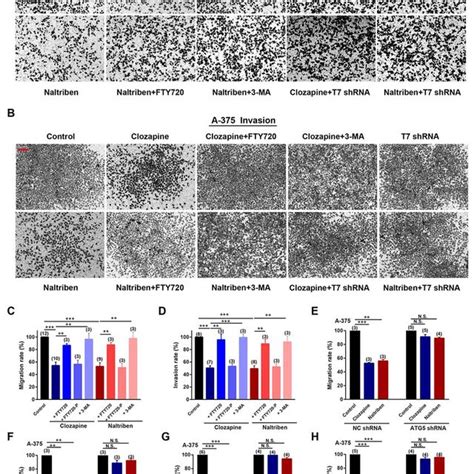 Curcumin Induced Apoptosis In Bxpc3 Cell Lines A Percentage Of Download Scientific Diagram