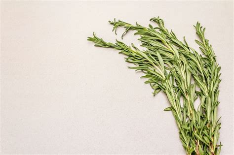 Premium Photo Fresh Rosemary Bunch