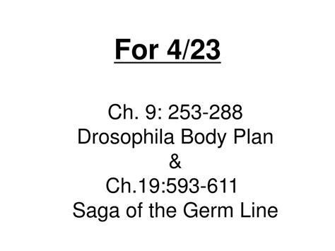 Ppt Bio Embryology Lecture Drosophila Body Plan Powerpoint