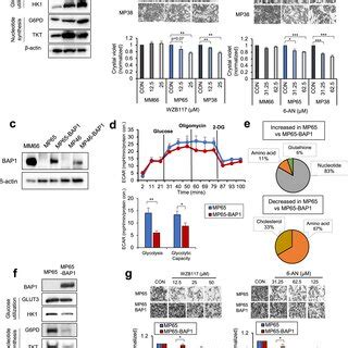 Nucleotide And Fa Metabolism Gene Expressions Separate Bap Mutant