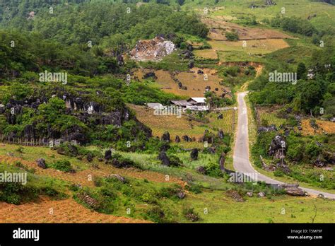 Asia Street Food Aerial Hi Res Stock Photography And Images Alamy