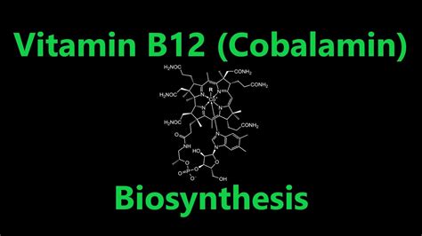 Vitamin B12 Cobalamin Properties Reactions And Applications Safrole