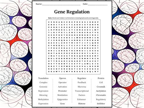 Gene Regulation Word Search Puzzle Worksheet Activity | Teaching Resources