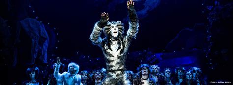 Broadway Musical Home - Cats