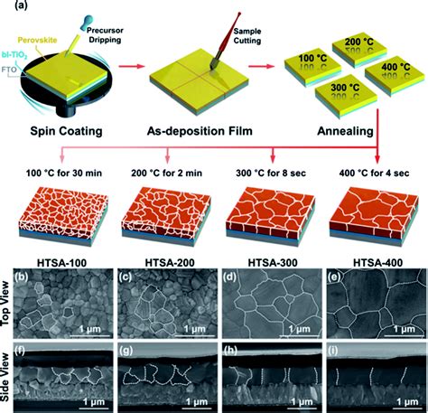 Large Area Perovskite Solar Cells