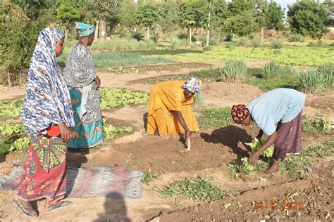 428 Mali Group Nature Ökologischer Gemüseanbau Marie Schlei Verein e V