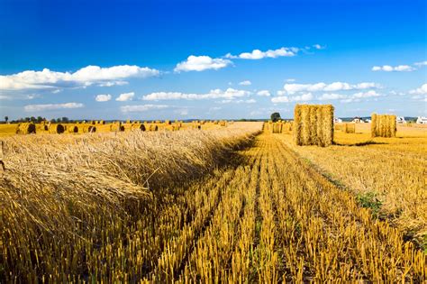 The Wheatbelt Home