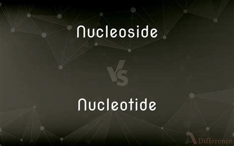 Nucleoside Vs Nucleotide — Whats The Difference