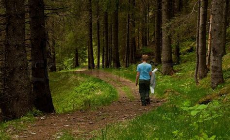 A young boy walking alone in the forest | Stock image | Colourbox