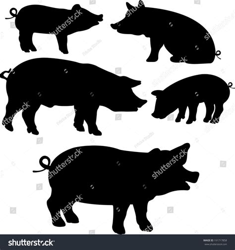 Pigs Collection Vector Silhouette Stock Vector Royalty Free 191717858