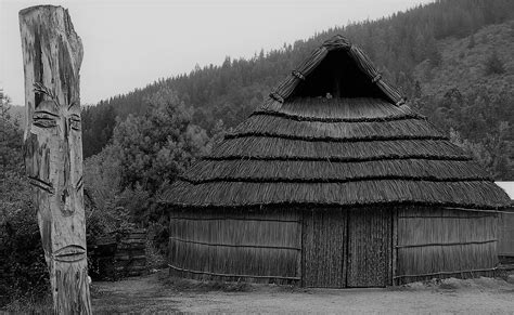 Dibujo Ruka Mapuche