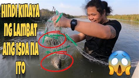 Hindi Na Kinaya Ng Lambat Sa Sobrang Dami Ng Isda Sa Ilog Na Ito Youtube