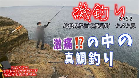 【磯釣り】【地磯】2022年 秋 島根県松江市鹿島町 ナズナ鼻 激痛⁉️の中に真鯛釣り 4k 山陰釣り新報