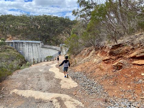 Sturt Gorge Dam At Sturt Gorge Recreation Park Flagstaff Hill