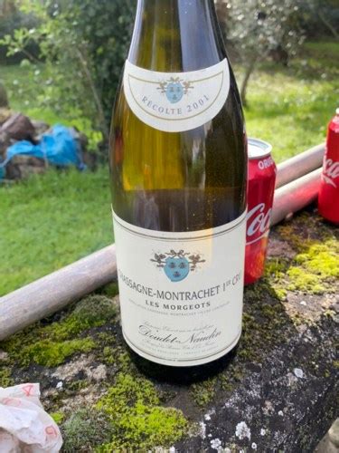 Doudet Naudin Chassagne Montrachet 1er Cru Les Morgeots Vivino US