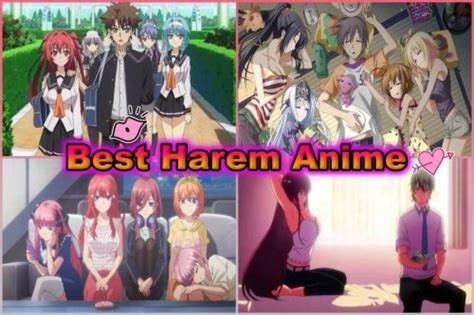 Uncensored Harem Anime Ranked Personal Favorites Flipboard