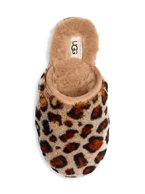 Ugg Slippers Leopard | ubicaciondepersonas.cdmx.gob.mx