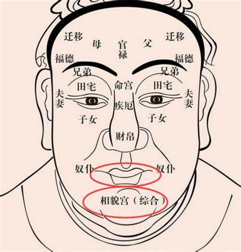 玄灵阁：面相百岁流年图如何看财运？